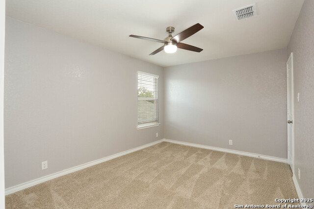 322 Cheeked Pintail Property Photo 19