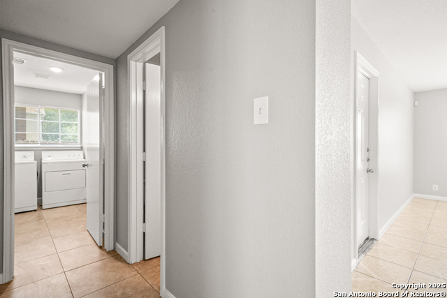 8203 Elktree Pass Property Photo 16