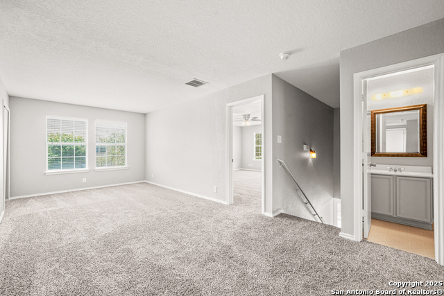 8203 Elktree Pass Property Photo 20