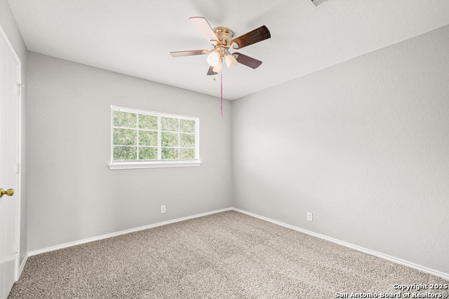 8203 Elktree Pass Property Photo 26