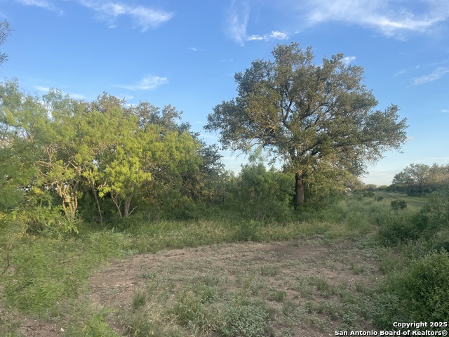 TBD County Road 445 Property Photo 1