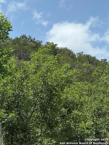 159 Valley Vista Property Photo 9