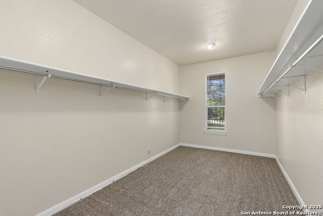 213 Springtree Parkway Property Photo 25