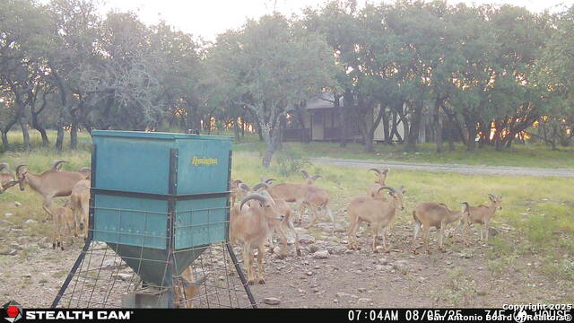 1305 Camino Real Property Photo 27