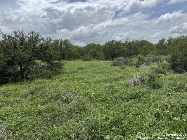 0 County Rd 4006 Property Photo 1