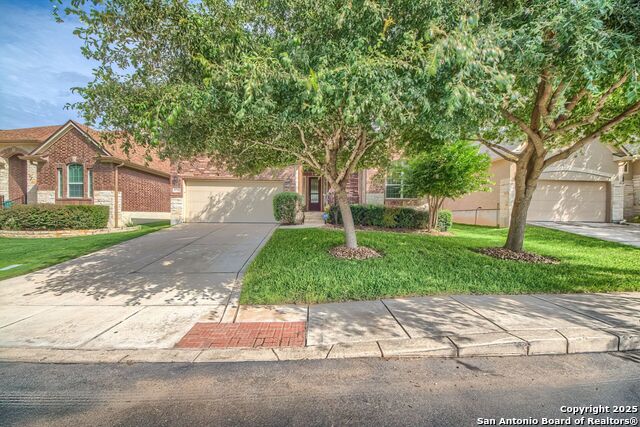 9770 Helotes Hl Property Photo 1