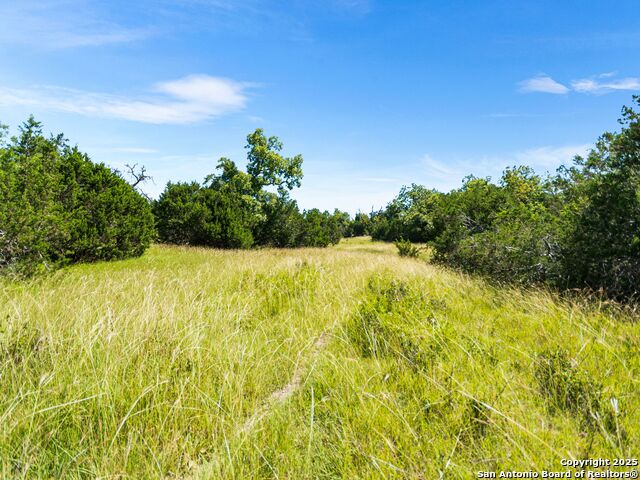 4369 Reeh Weinheimer Property Photo 79