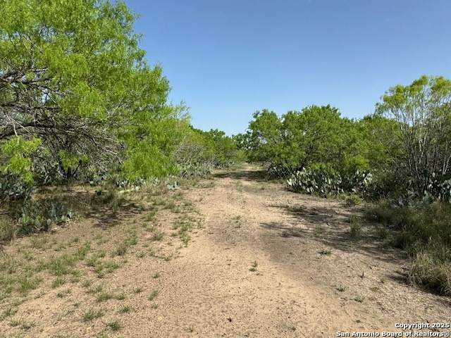 14 Windmill Ranchettes CR 329 Property Photo 1