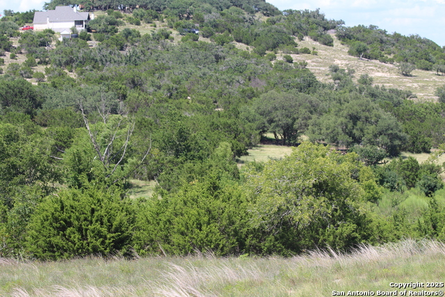 239 Flickering Sky Circle Property Photo 10