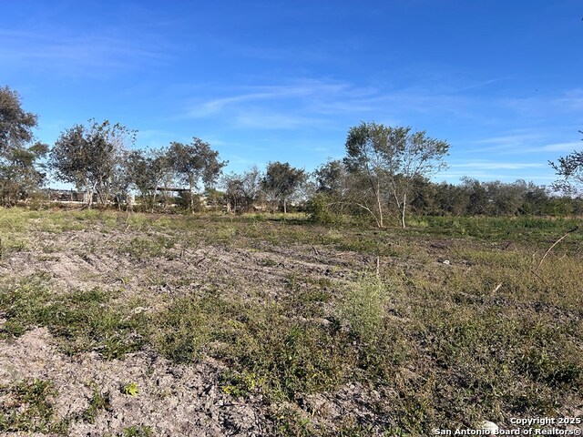 1130 Highway 181 Frontage Property Photo 4