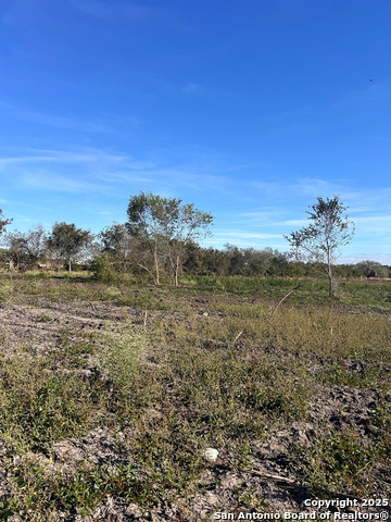 1130 Highway 181 Frontage Property Photo 13