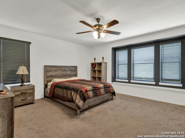 7710 Sundew Mist Property Photo 24