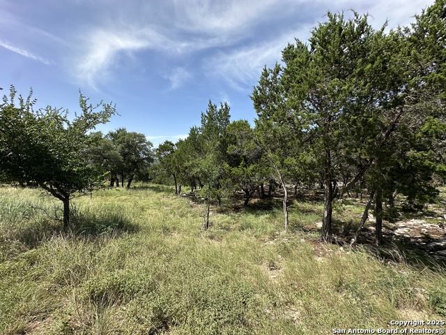 27903 Storm Vw Property Photo 15