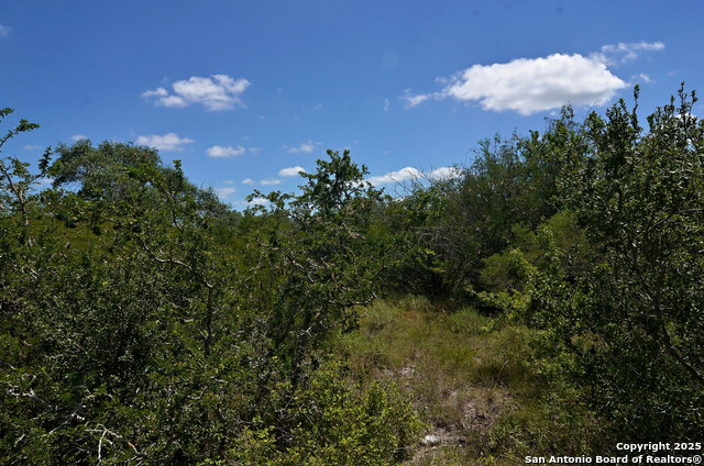 1641 Charco Property Photo 2
