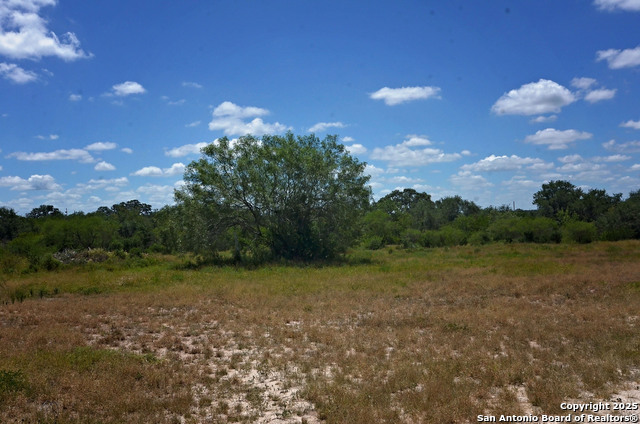 1641 Charco Property Photo 4