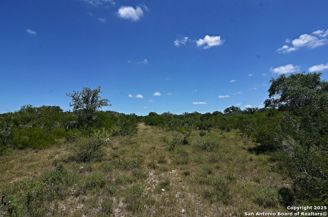 1641 Charco Property Photo 13