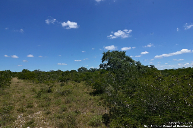 1641 Charco Property Photo 14