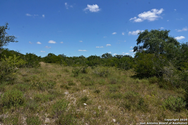 1641 Charco Property Photo 15