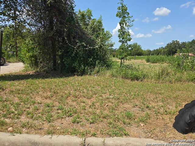 407 4th E Property Photo 6