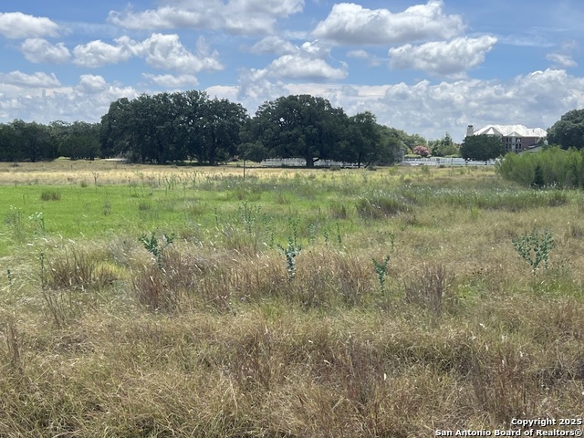 LOT 295 Appaloosa Hollow Property Photo 1