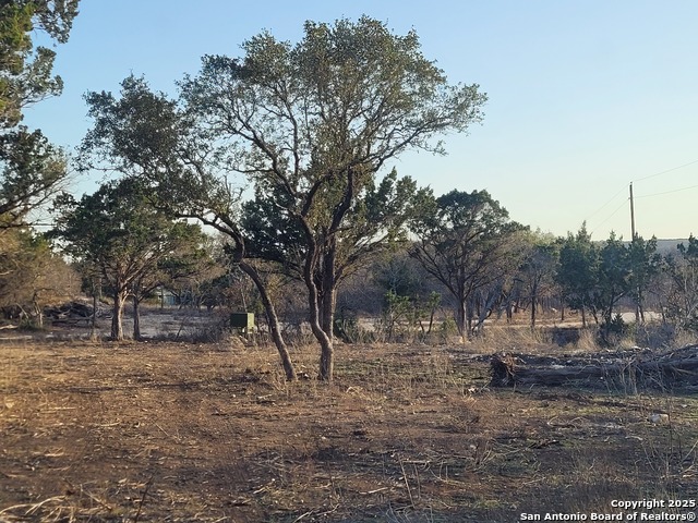 308 Elm Pass Property Photo 6
