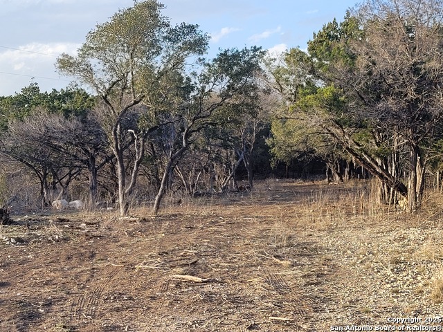 308 Elm Pass Property Photo 7
