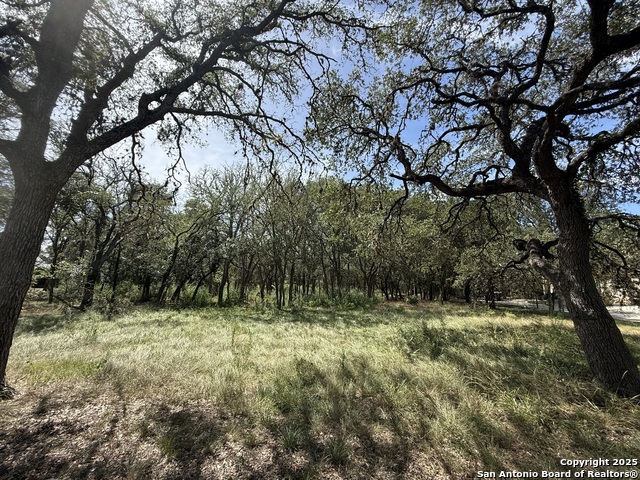 8403 Wild Wind Park