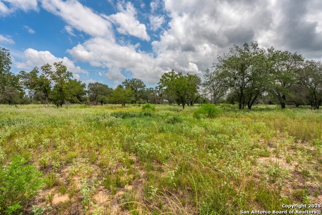 330 S Encino Crossing Property Photo 4