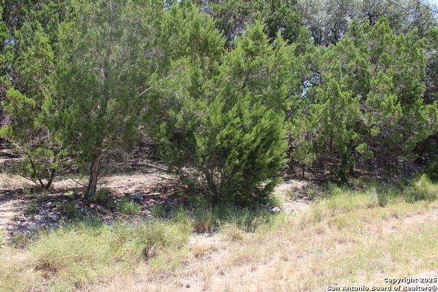 1105 Rotherman Property Photo 1