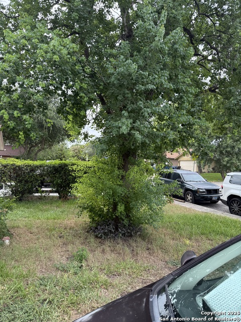 9147 Autumn Storm Property Photo 3