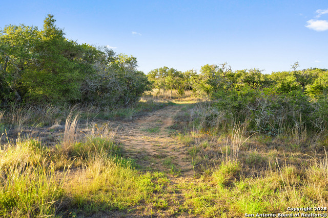 370 Gray Wolf Property Photo 18