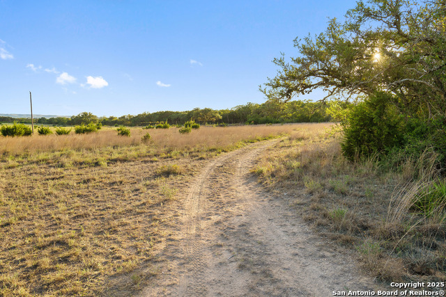 370 Gray Wolf Property Photo 19