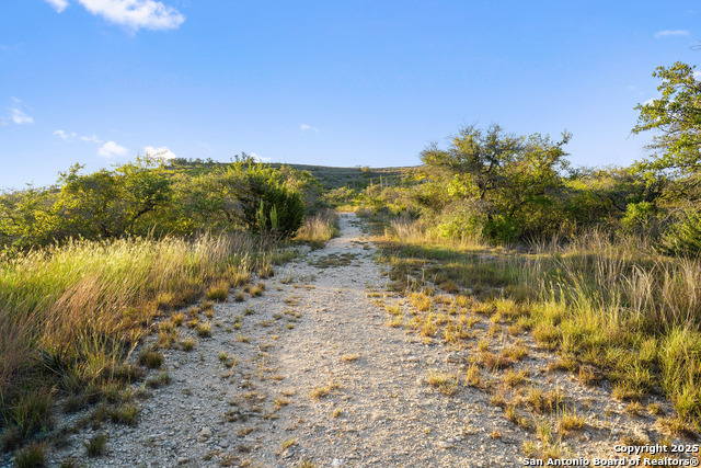 370 Gray Wolf Property Photo 23