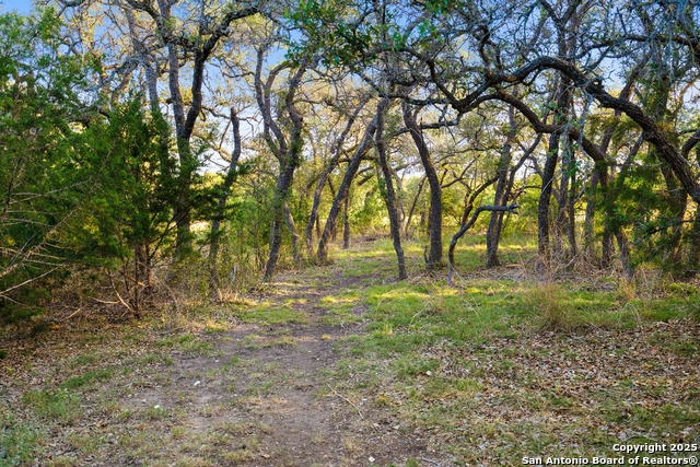 370 Gray Wolf Property Photo 24