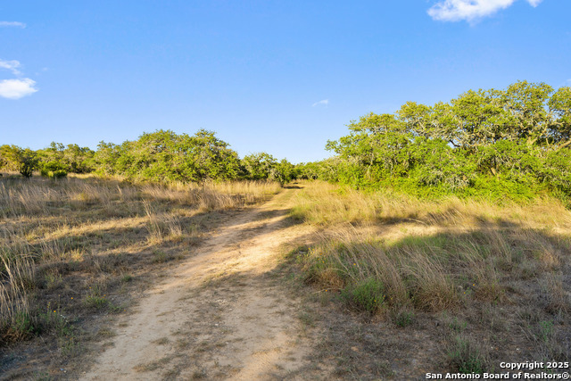 370 Gray Wolf Property Photo 26