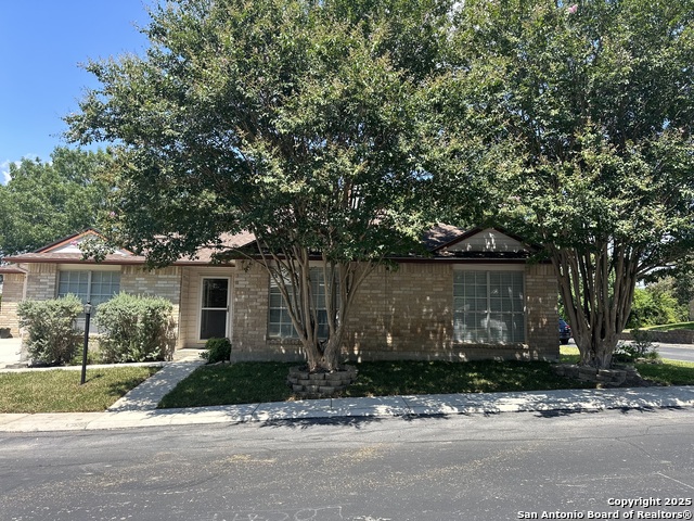 4000 Cypress Property Photo 5