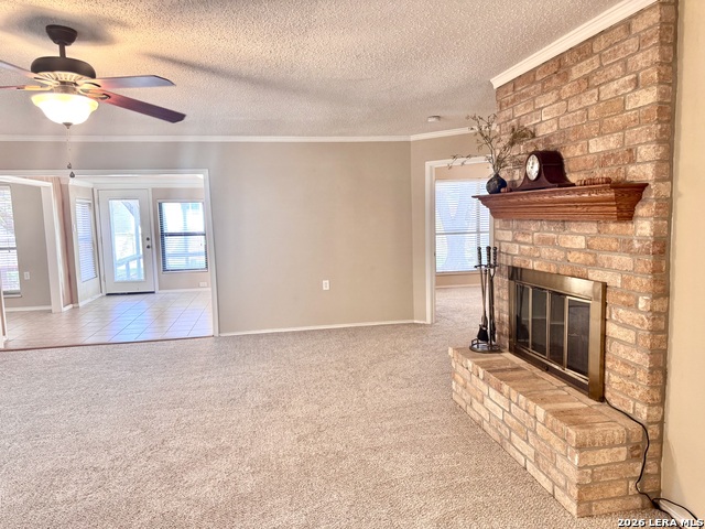 4000 Cypress Property Photo 11