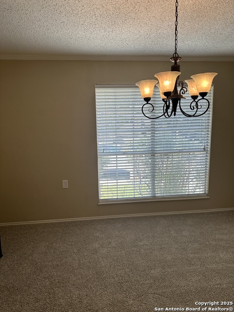 4000 Cypress Property Photo 24