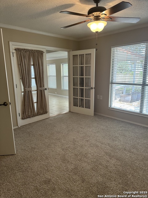 4000 Cypress Property Photo 29