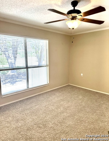 4000 Cypress Property Photo 33