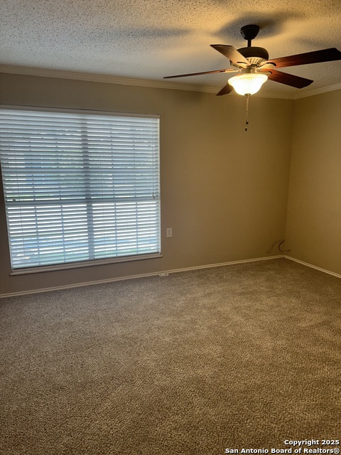 4000 Cypress Property Photo 34