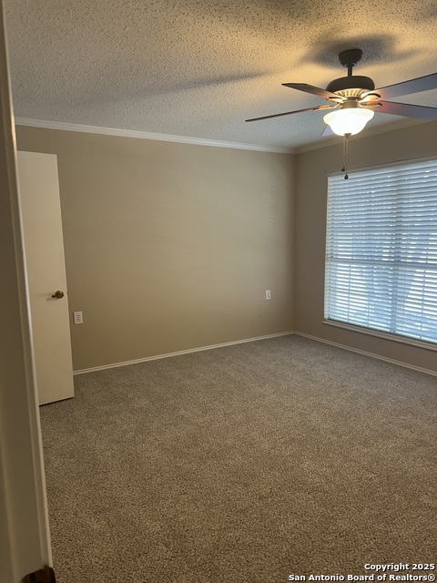 4000 Cypress Property Photo 35