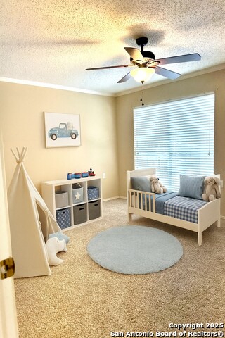 4000 Cypress Property Photo 40