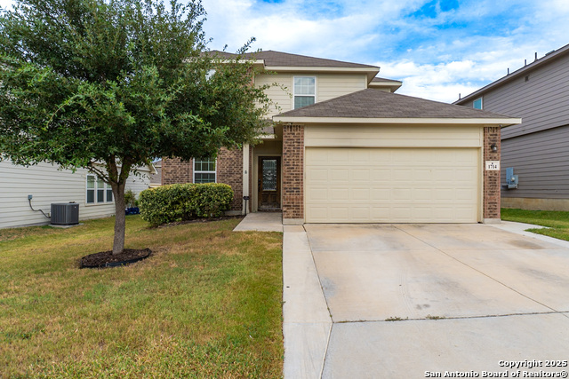 1714 Golden Maple