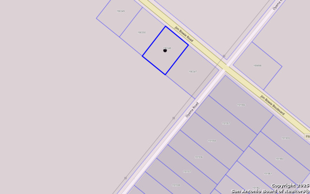 1 Jim Bowie Property Photo 5