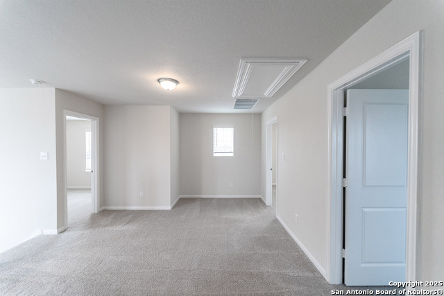 312 Ivy Road Property Photo 12
