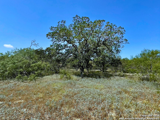 33 Acres Cr 114 Property Photo 1
