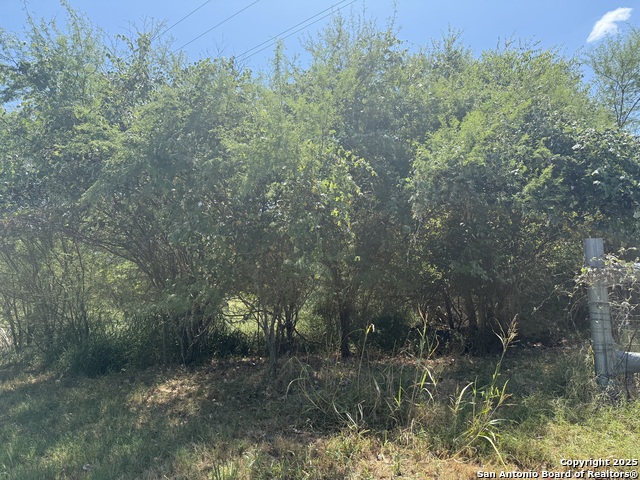 5751 Fm 541 Property Photo 4
