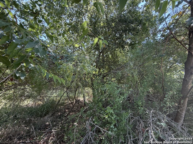 5751 Fm 541 Property Photo 5