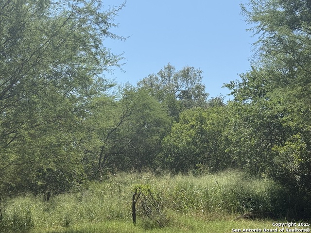 5751 Fm 541 Property Photo 8